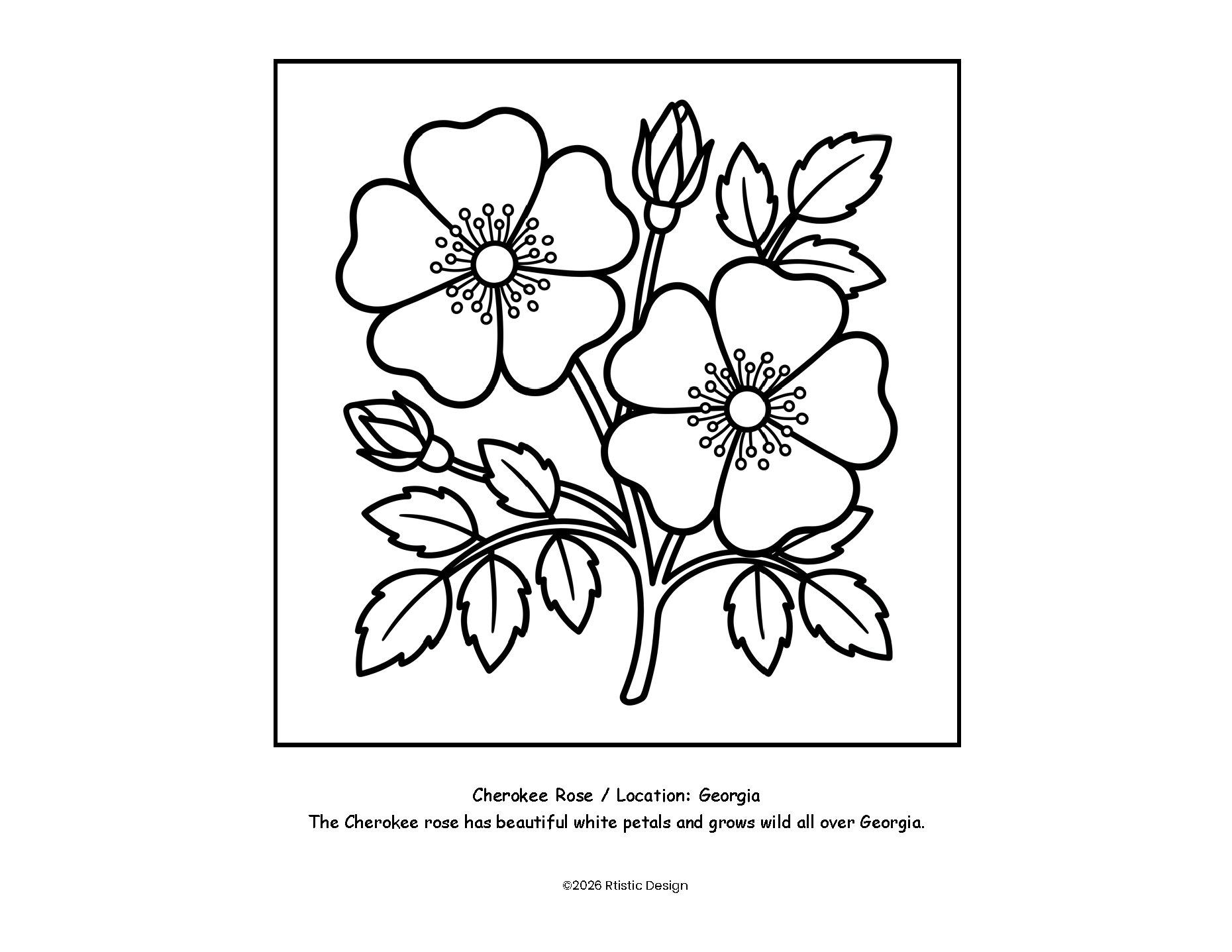 GA Coloring Book_Page_04.png