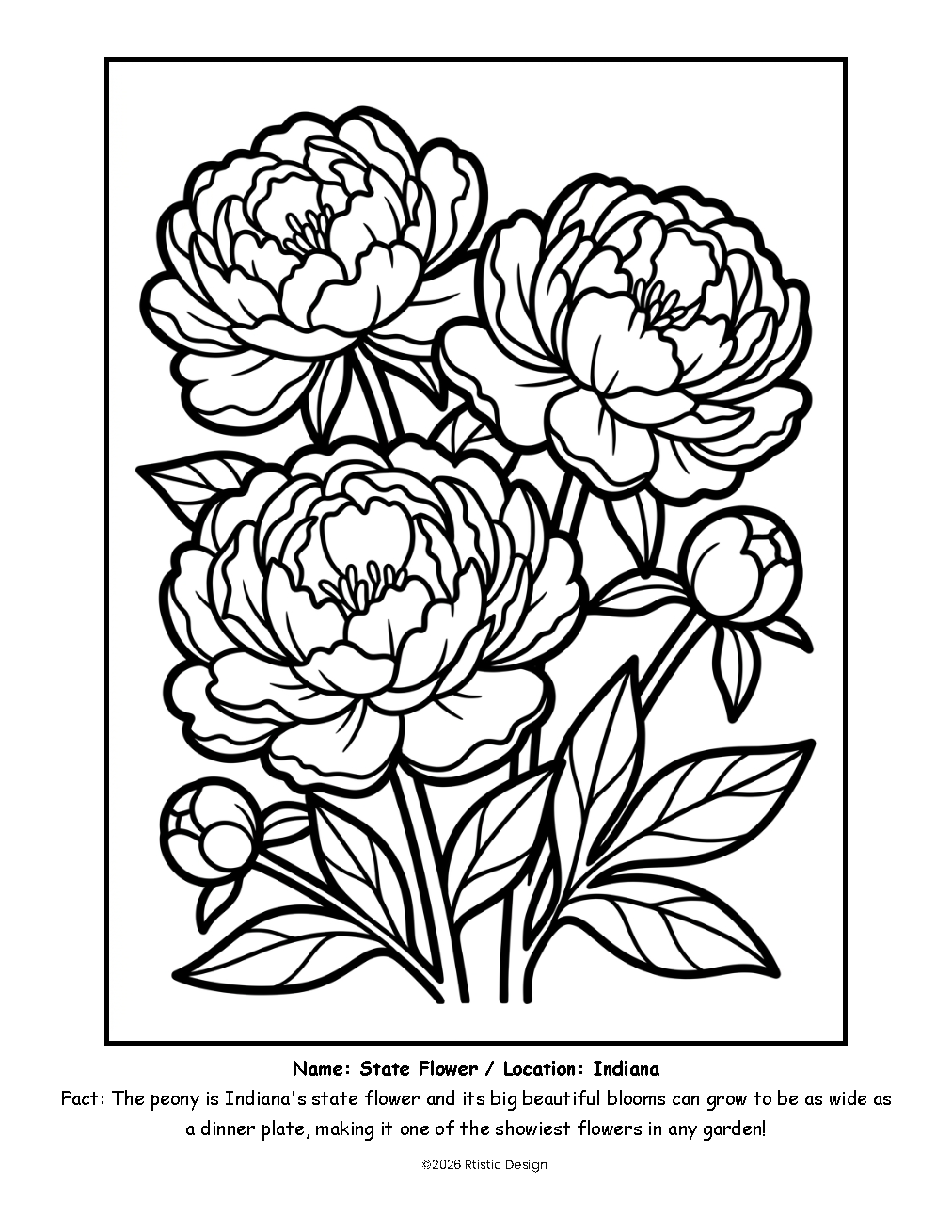 IN Coloring Book_Page_04.png