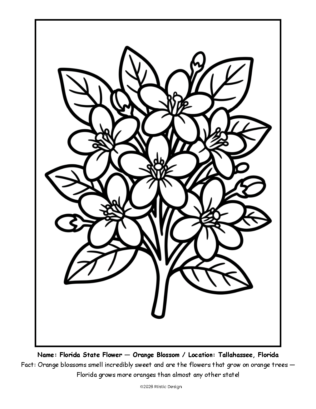 FL Coloring Book_Page_04.png