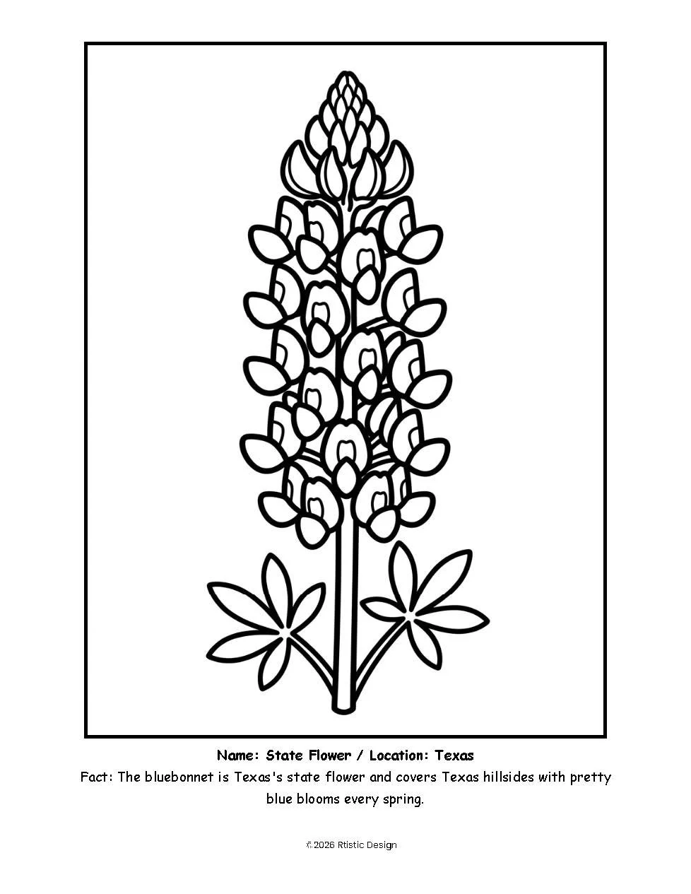 TX Coloring Book_Page_04.jpg