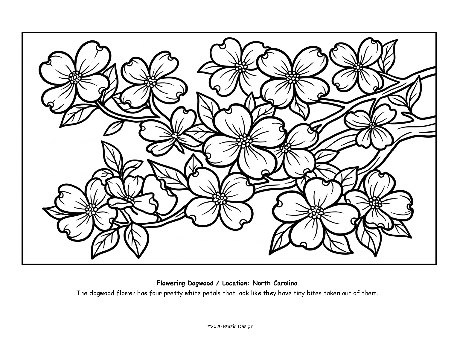 NC Coloring Book_Page_04.png