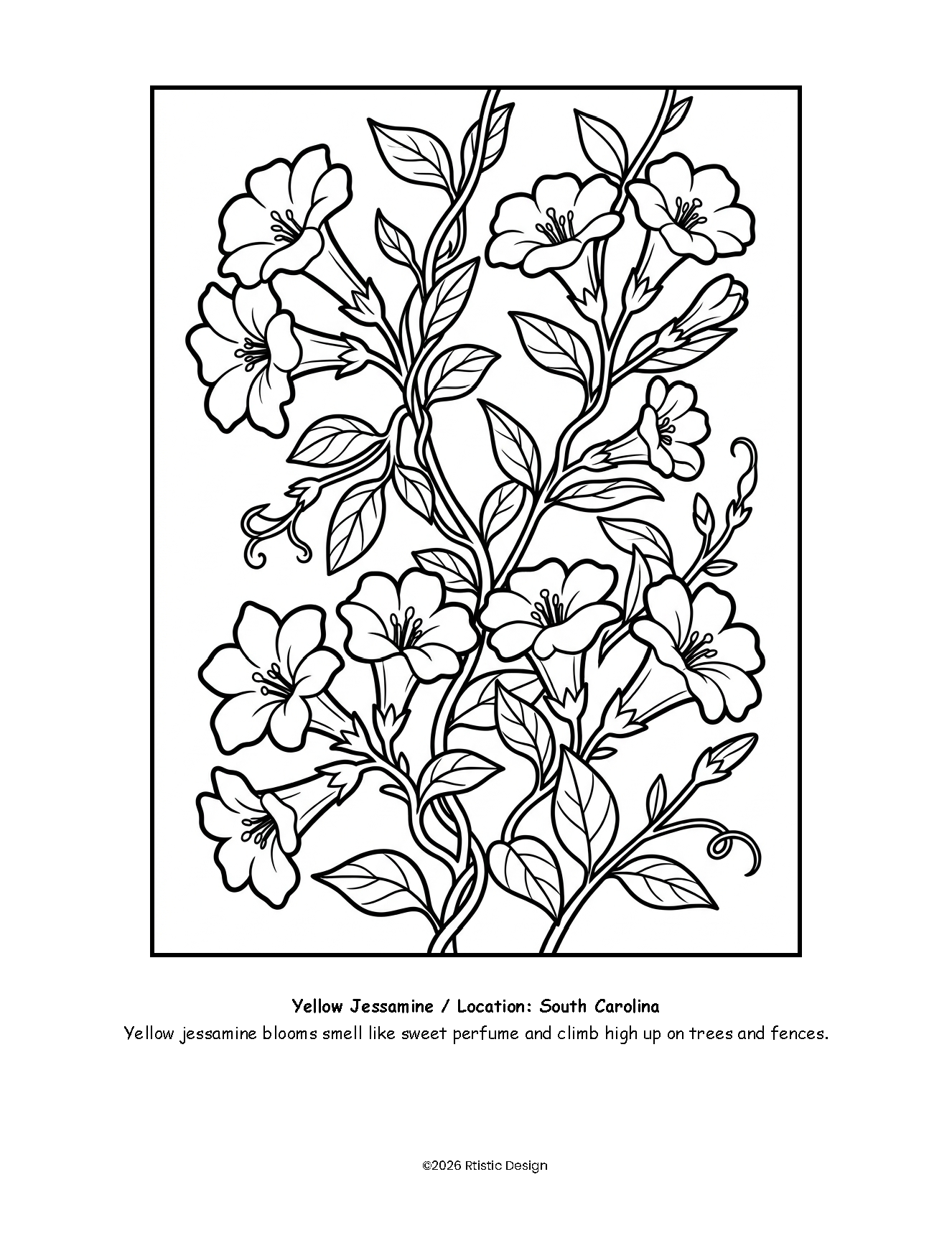 SC-Coloring Book_Page_04.png
