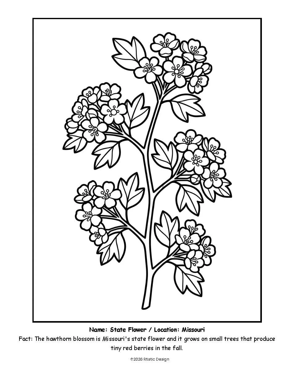 MO Coloring Book_Page_04.jpg