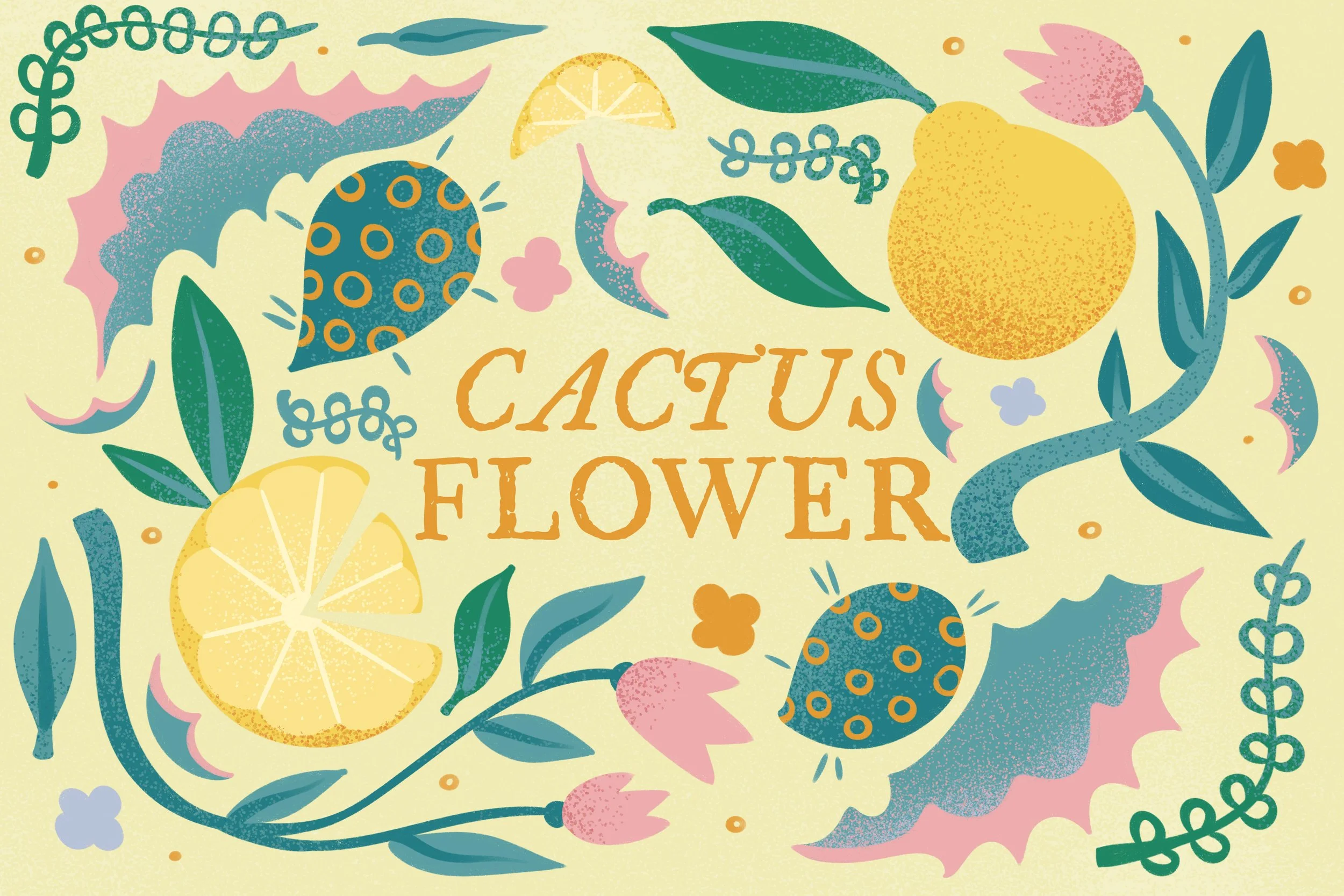 SAV_202630_ILLU_442_AnnaHarrison_A2_Packaging-CactusFlower.jpg
