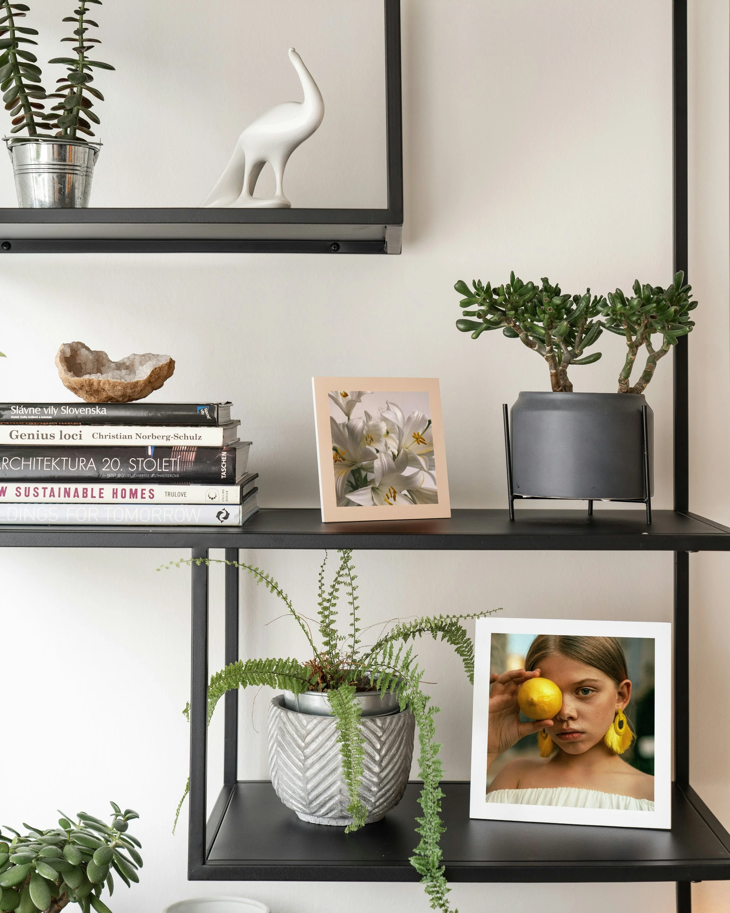 A black metal shelf displaying various plants, books, and framed photographs, with a white wall in the background.