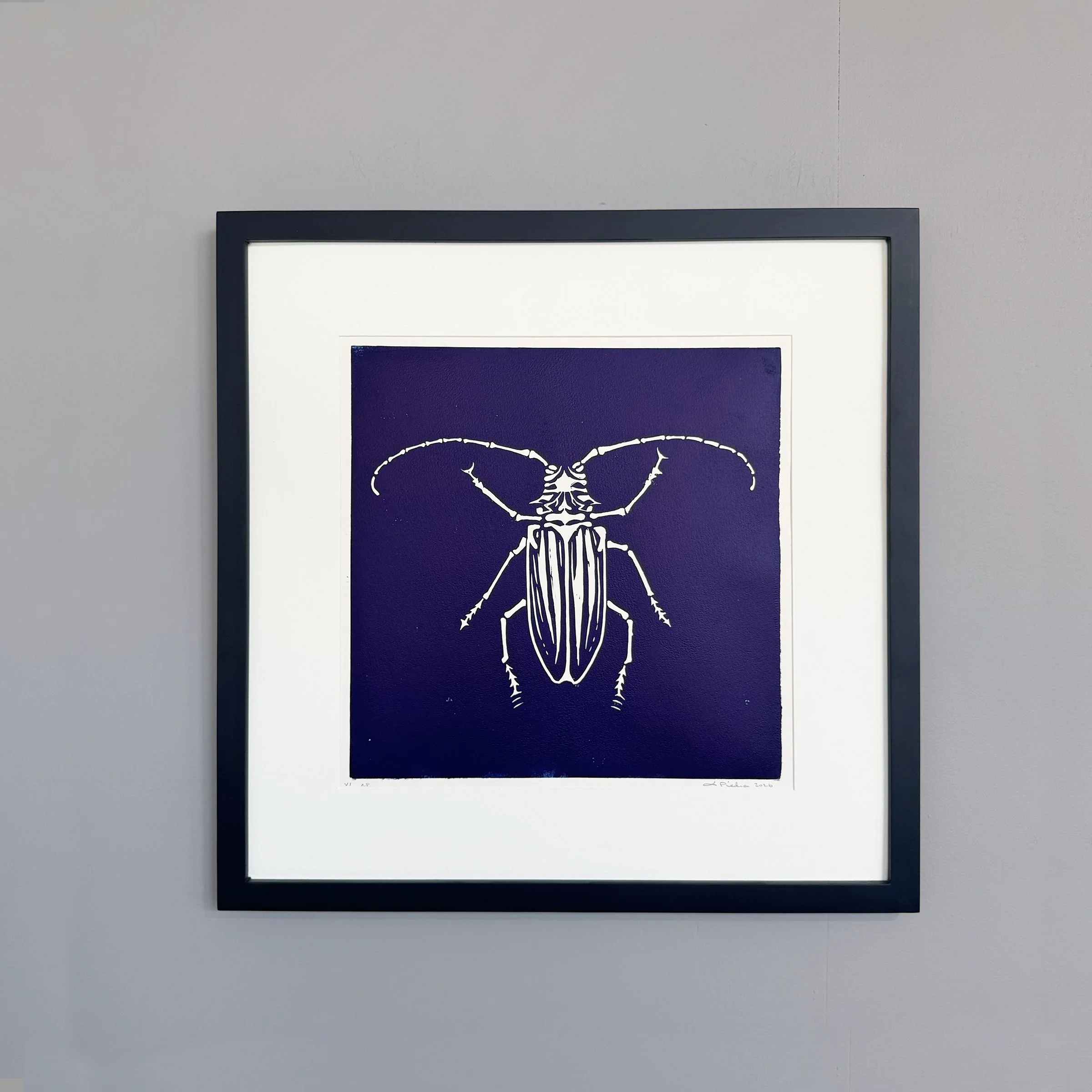 Insect Prints