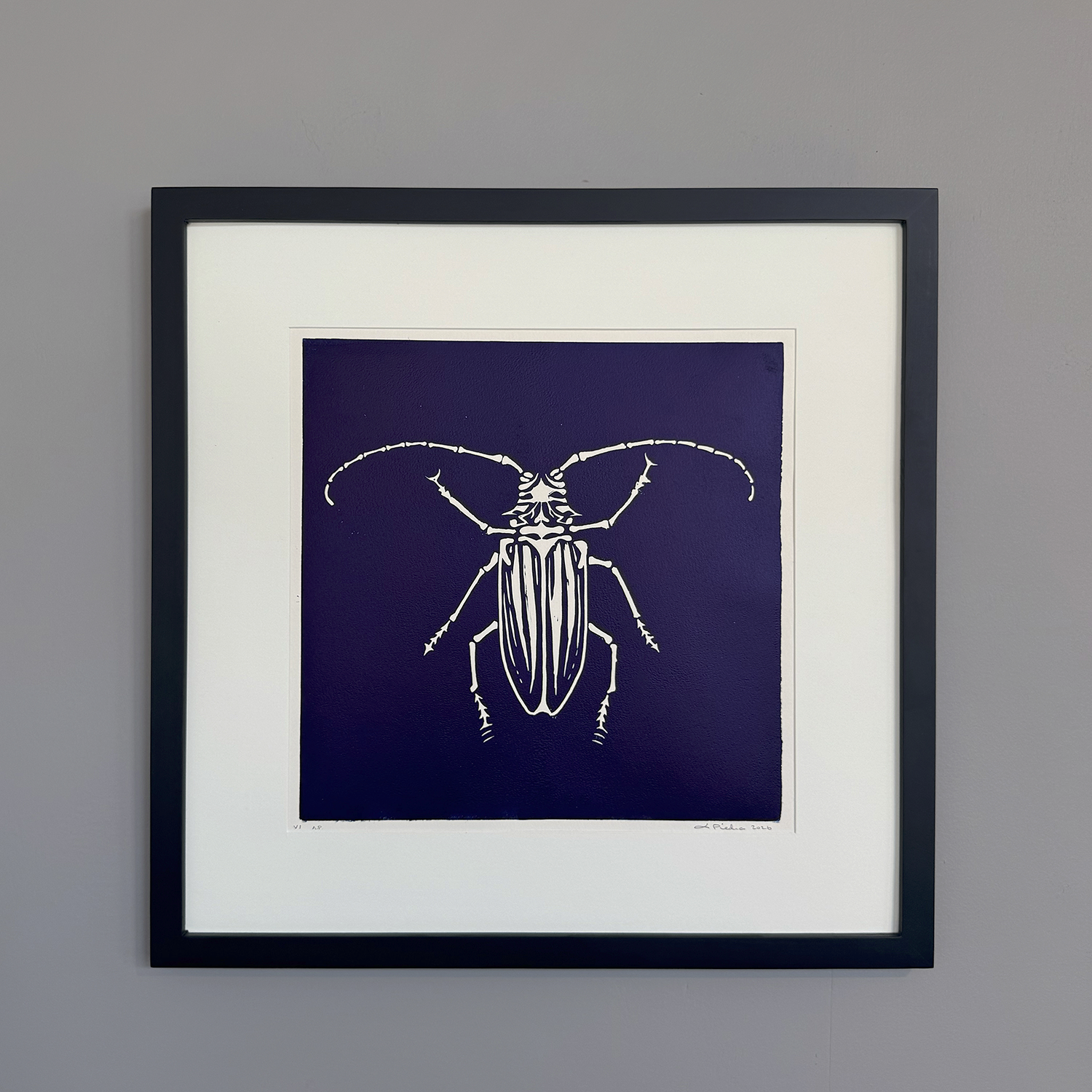 Insect Prints