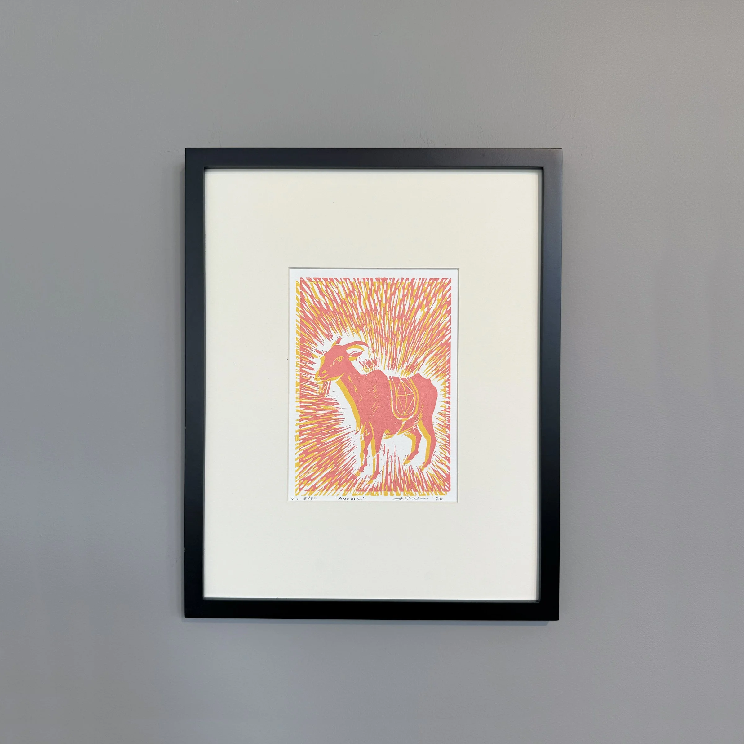 Animal Prints