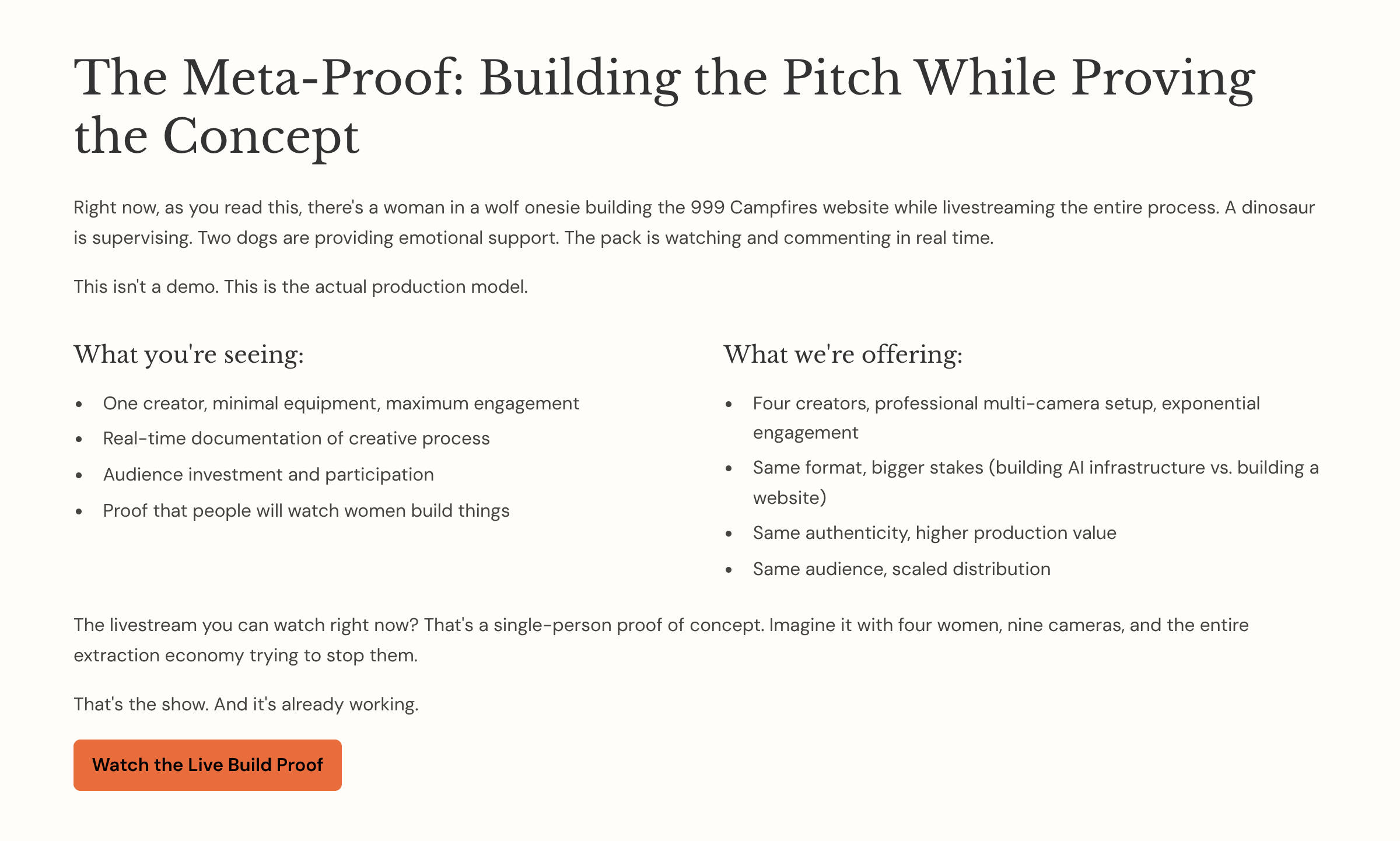 4_The-Meta-Proof-Building-the-Pitch-While-Proving-the-Concept.png