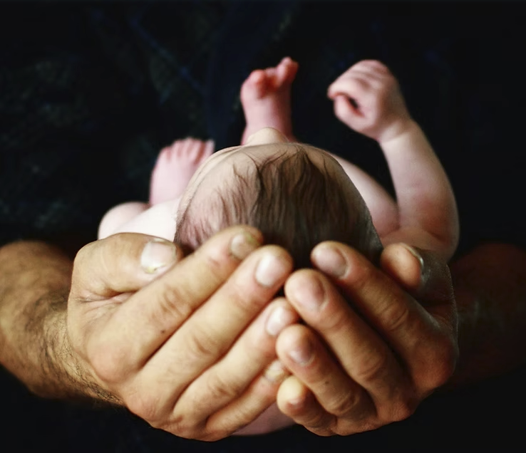 Biblical Protectors: How Christian Men Honor and Cherish Their Wives