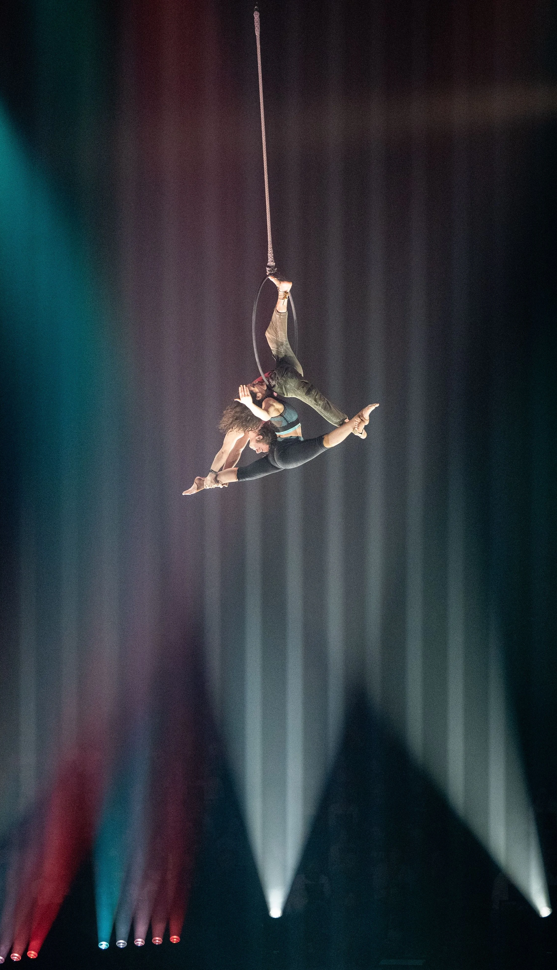 Renee Choi Photography 