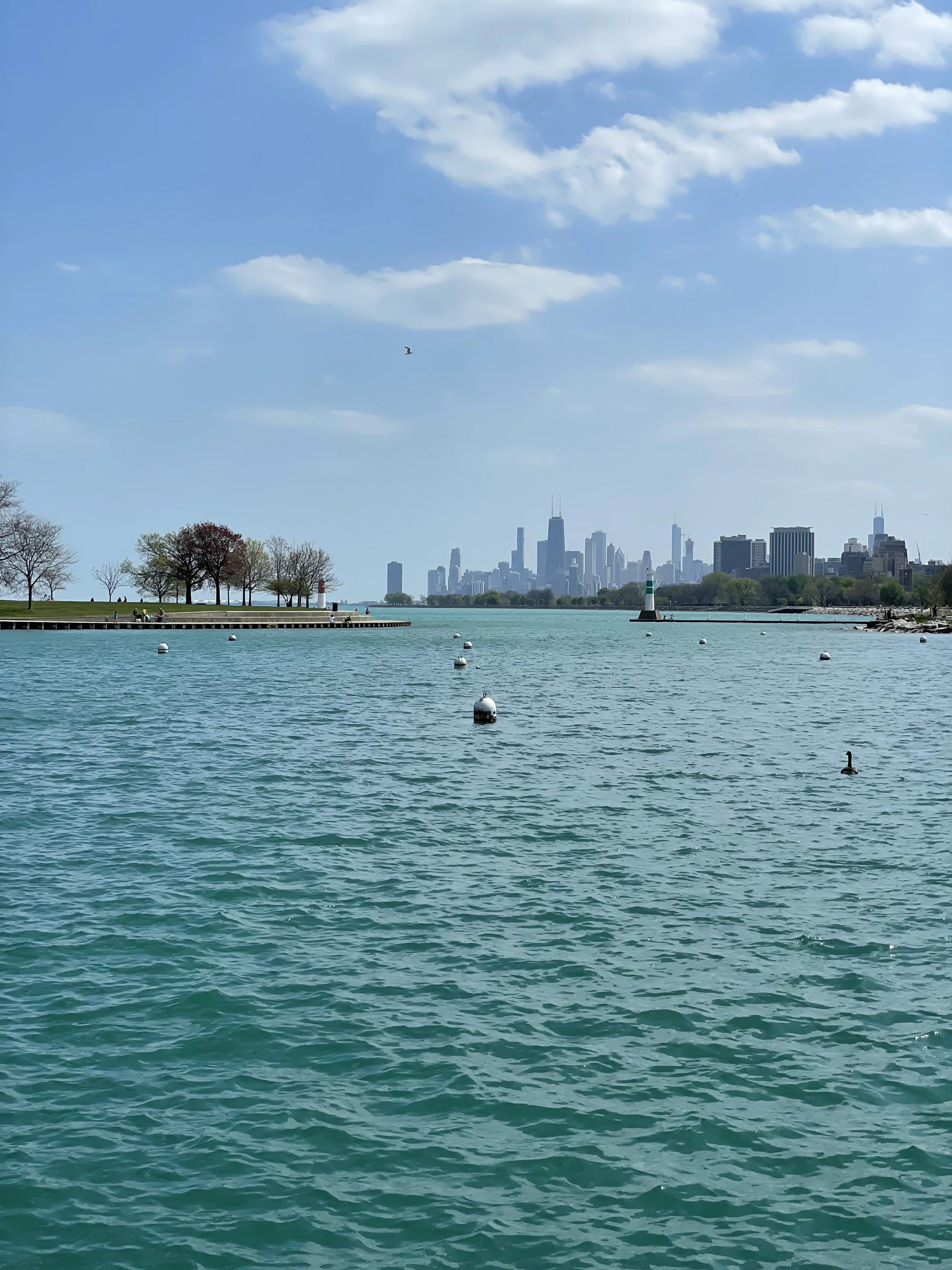 Image has a harbor with buoys in the foreground and the city of Chicago skyline in the background, on a sunny day with blue skies.