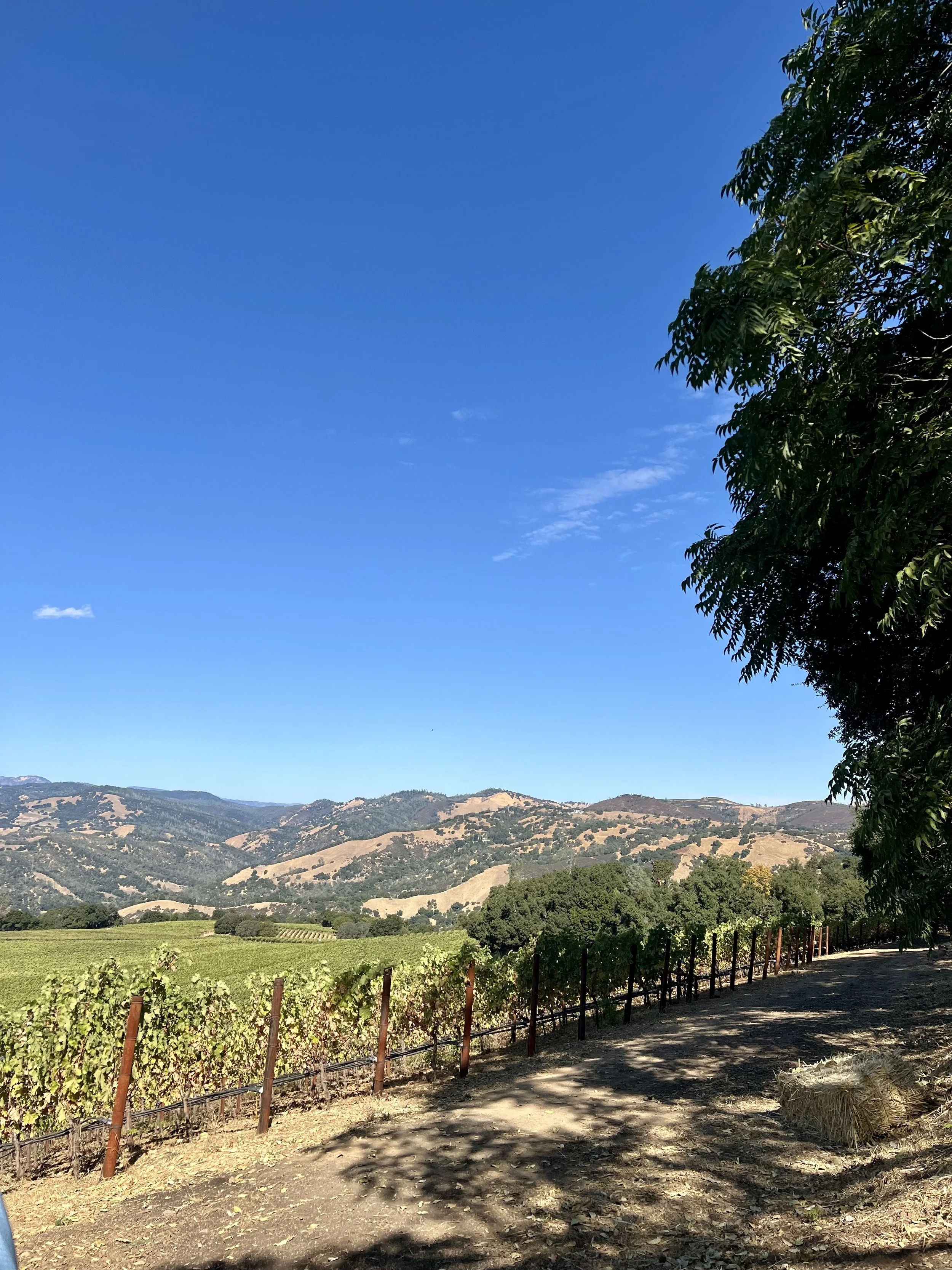 Napa Valley Weekend