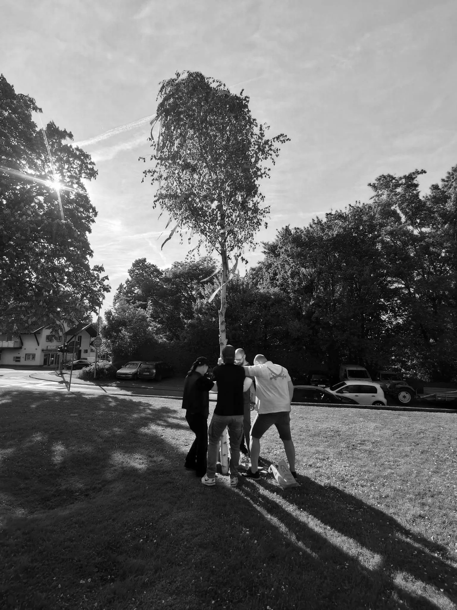 Menschen feiern das Anbringen eines Maibaums in einem Park bei Sonnenlicht, umgeben von Bäumen und Häusern.