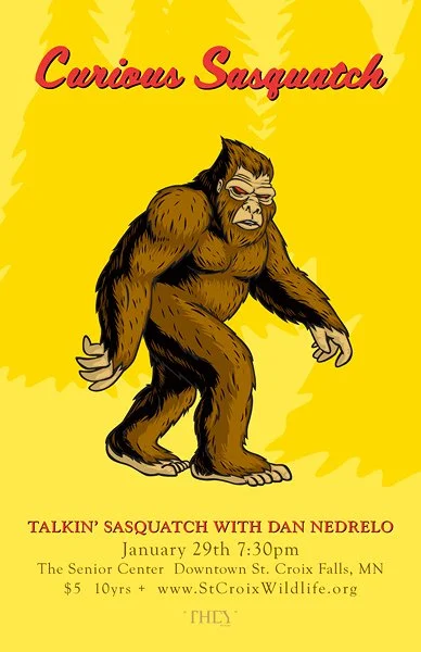 A poster featuring a cartoon image of a sasquatch with hairy brown fur, standing against a yellow background. The title reads "Curious Sasquatch" and there is event information for a talk titled "Talkin' Sasquatch with Dan Nedrelo" scheduled for Janu