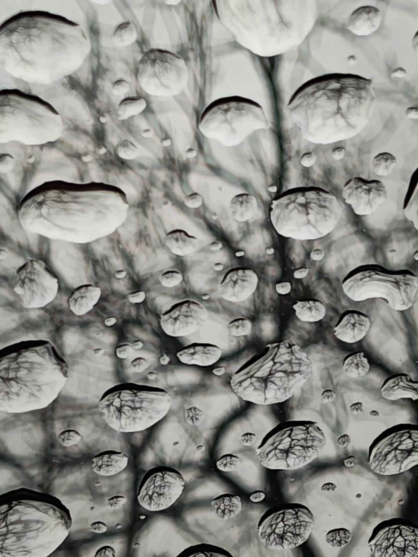 Soggy #art #photography