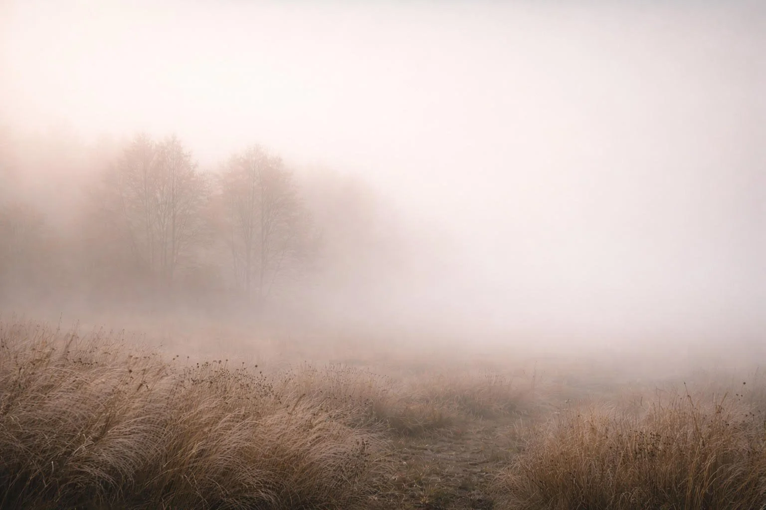 WHEN A COLLECTION ENDS