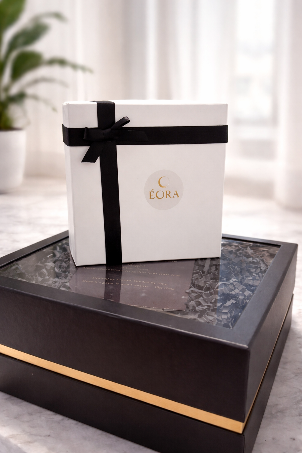 ÉORA  Spring Trial Set