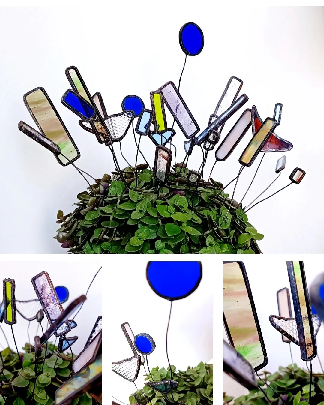 Magnifiques petits bijoux d'intérieur, bijoux de plantes pour décorer les pots de fleurs.