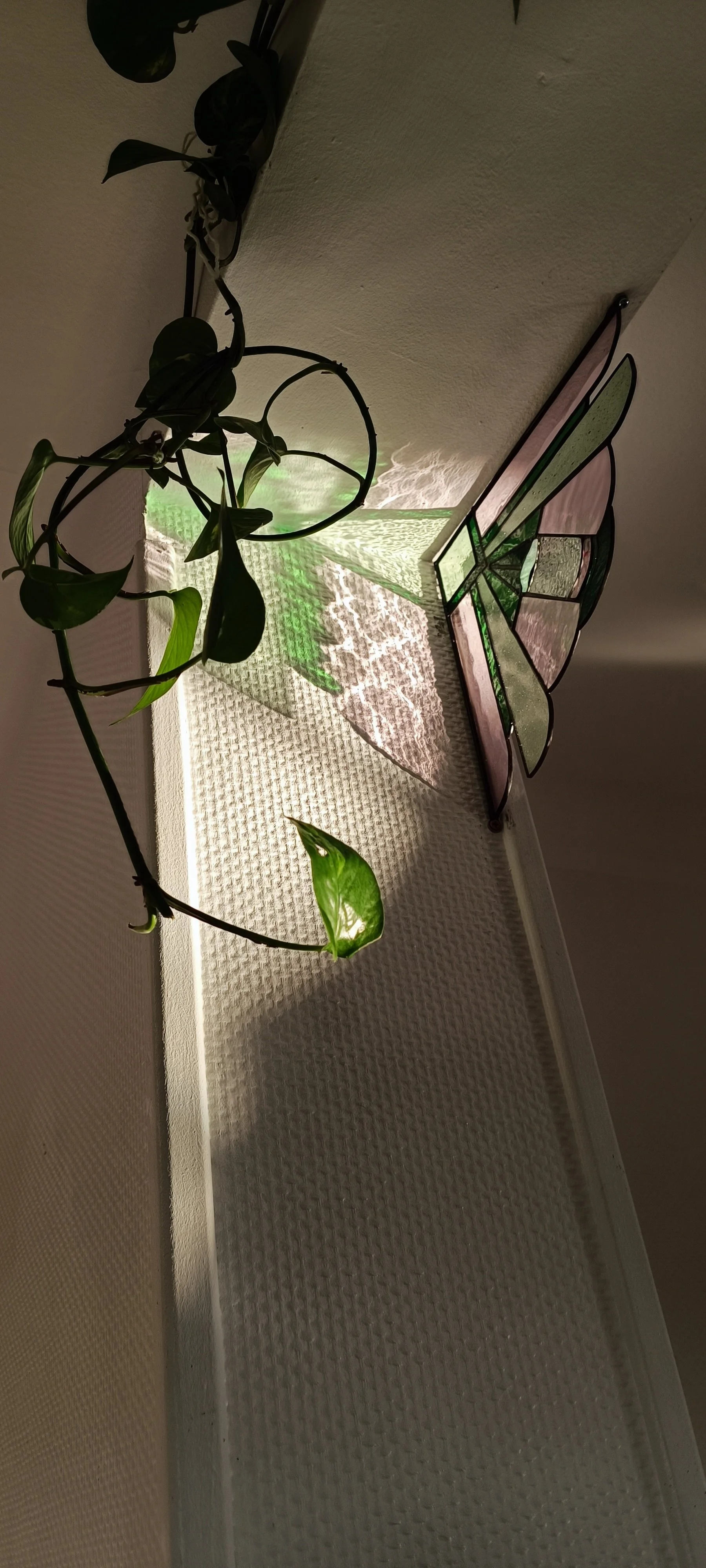 1772665911444 (1).jpg