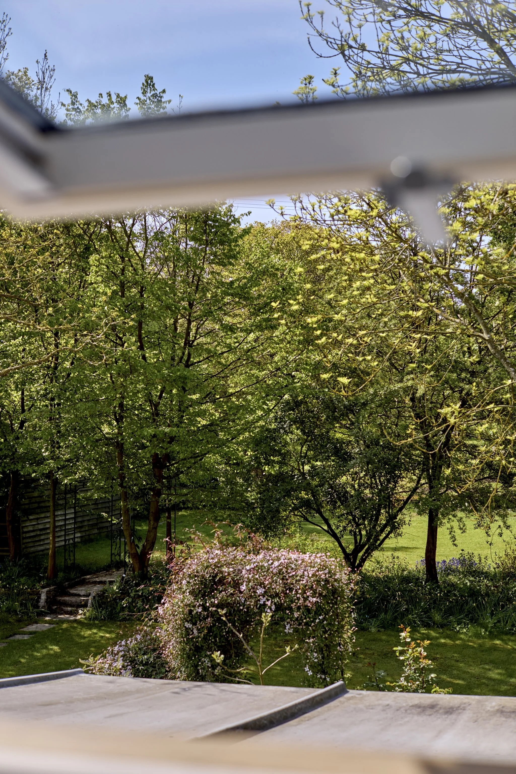 View of a garden with trees, bushes, and flowers, seen through a partially open window or skylight.