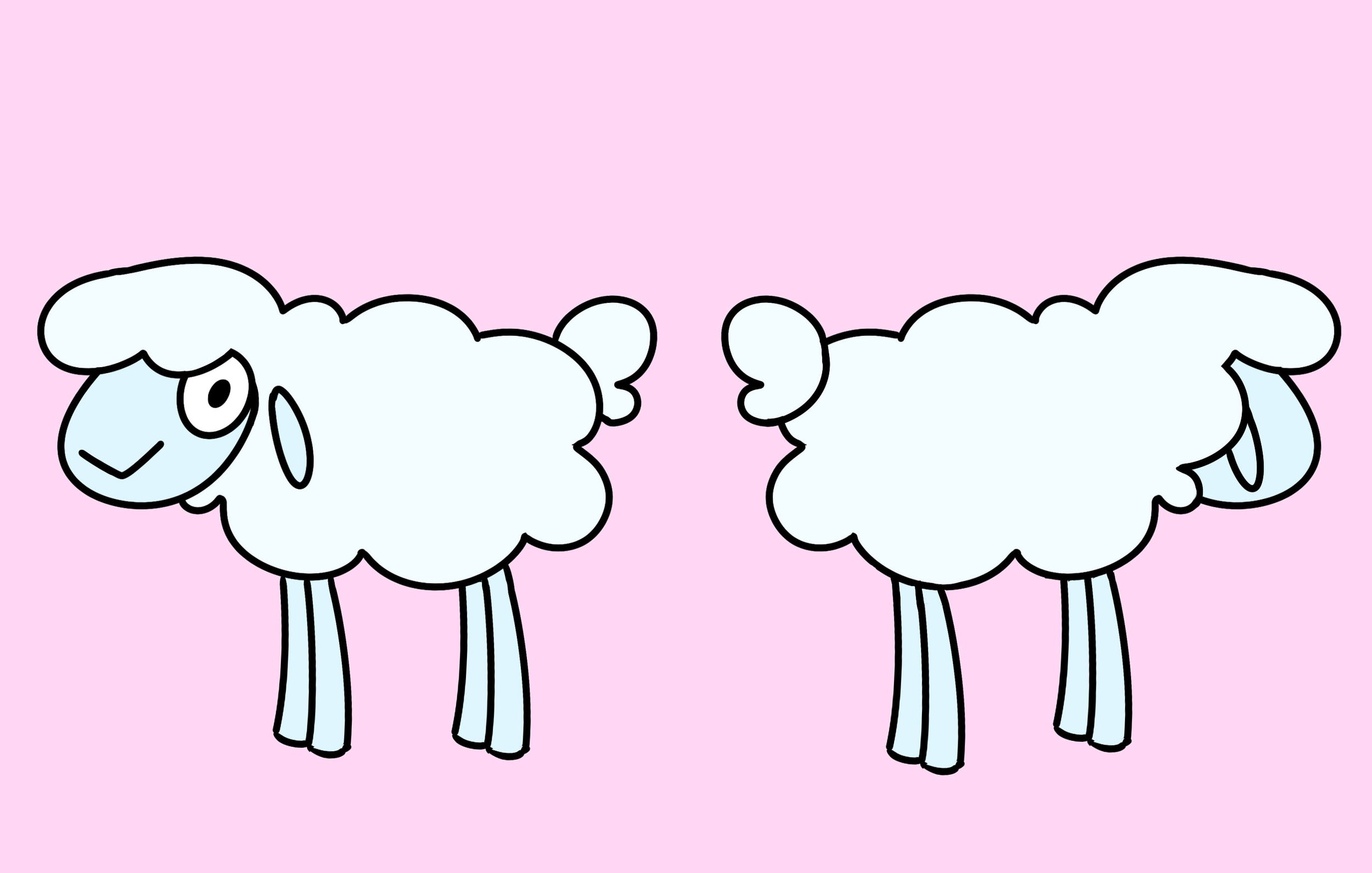Sheep1_cbaxter.jpg