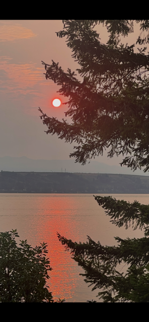 Sunset over a body of water with trees in the foreground.