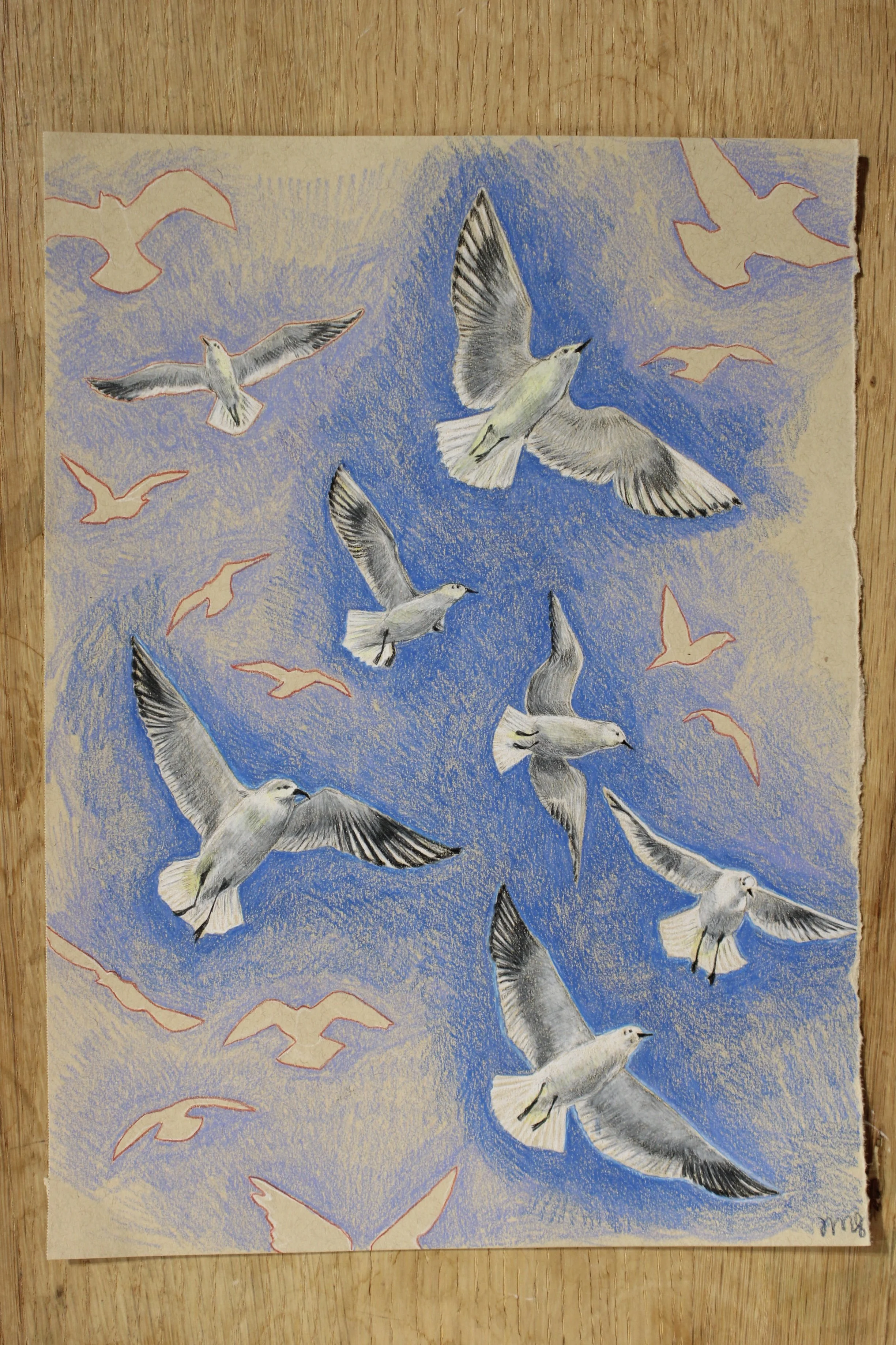 Drawing of multiple seagulls flying in the sky, with some in detailed black and gray coloring and others as pink outlines, against a blue and beige background.