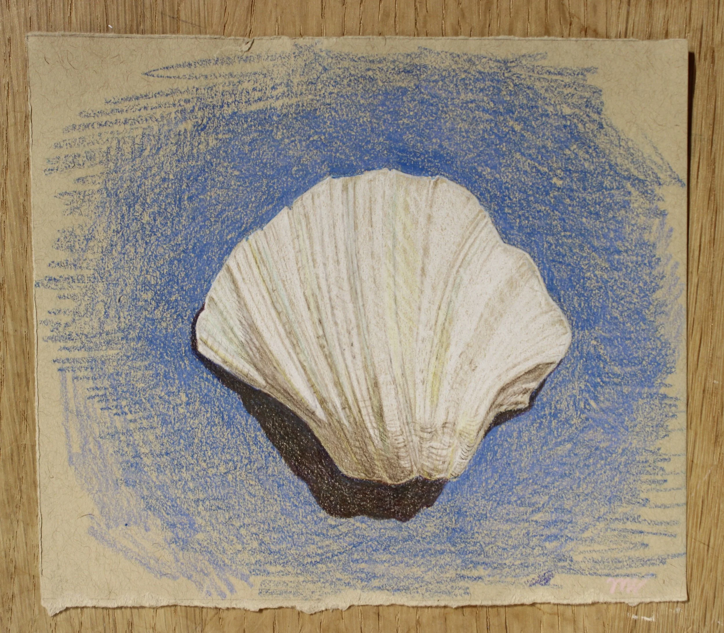 An art piece of a seashell with a blue background on textured paper.