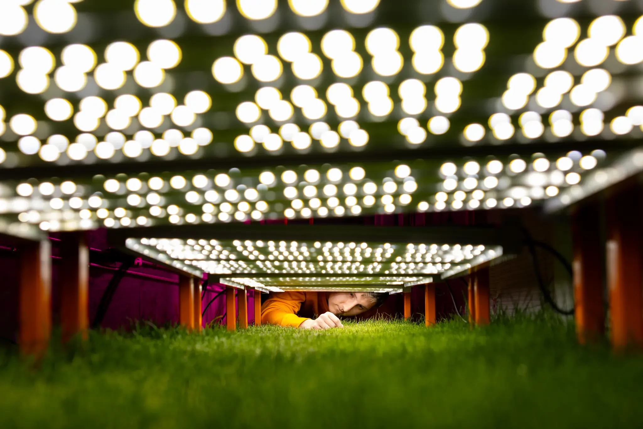 Why World Cup venues are installing grass fields to replace turf — and the years-long quest to get it right | New York Post