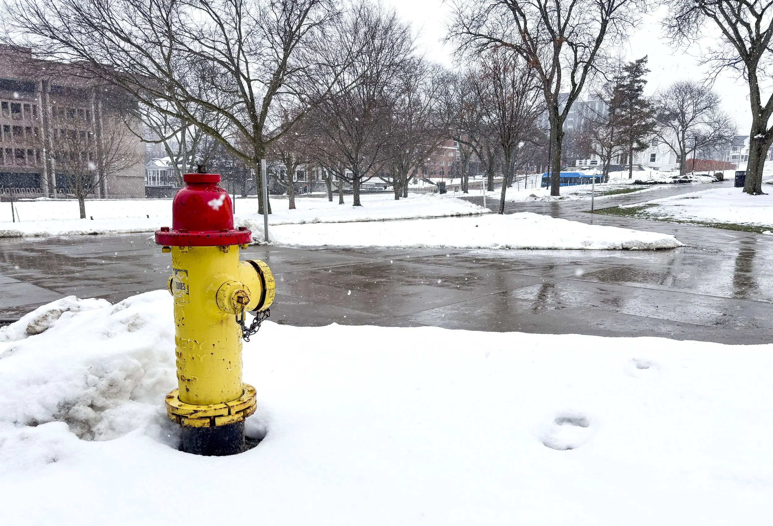 A yellow fire hydrant on Syracuse's campus