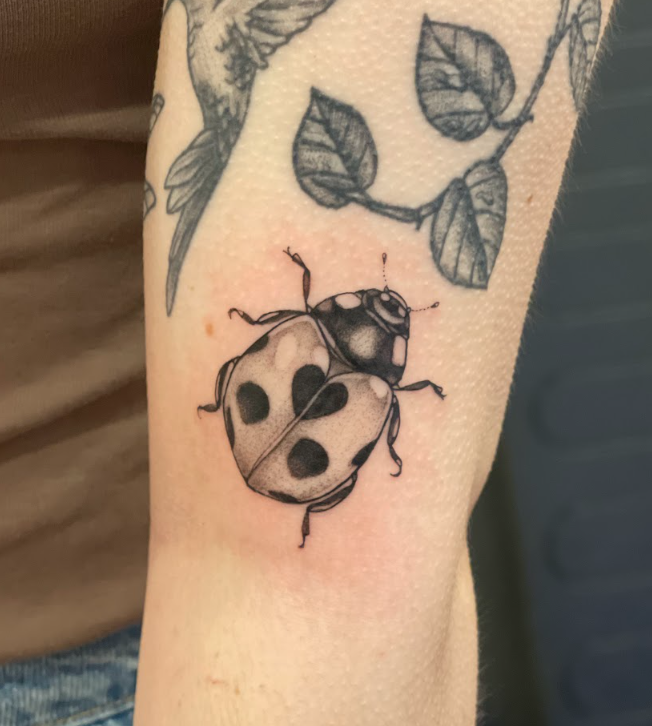 Screen Shot 2026-02-03 at 10.29.34 PM.png