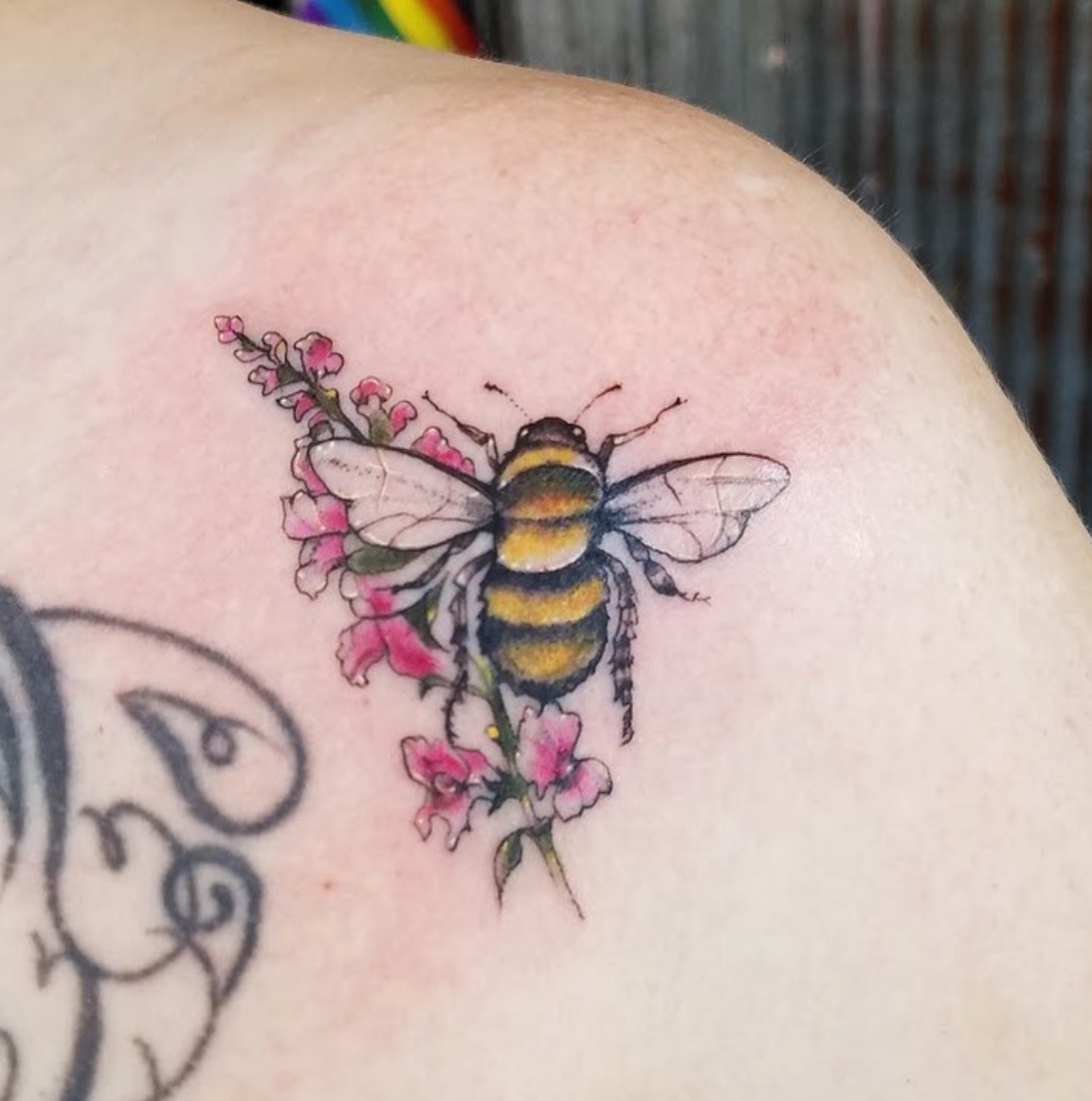 Screen Shot 2026-02-03 at 10.34.47 PM.png