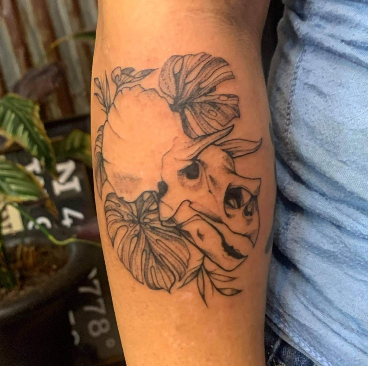 Screen Shot 2026-02-03 at 10.36.10 PM.png