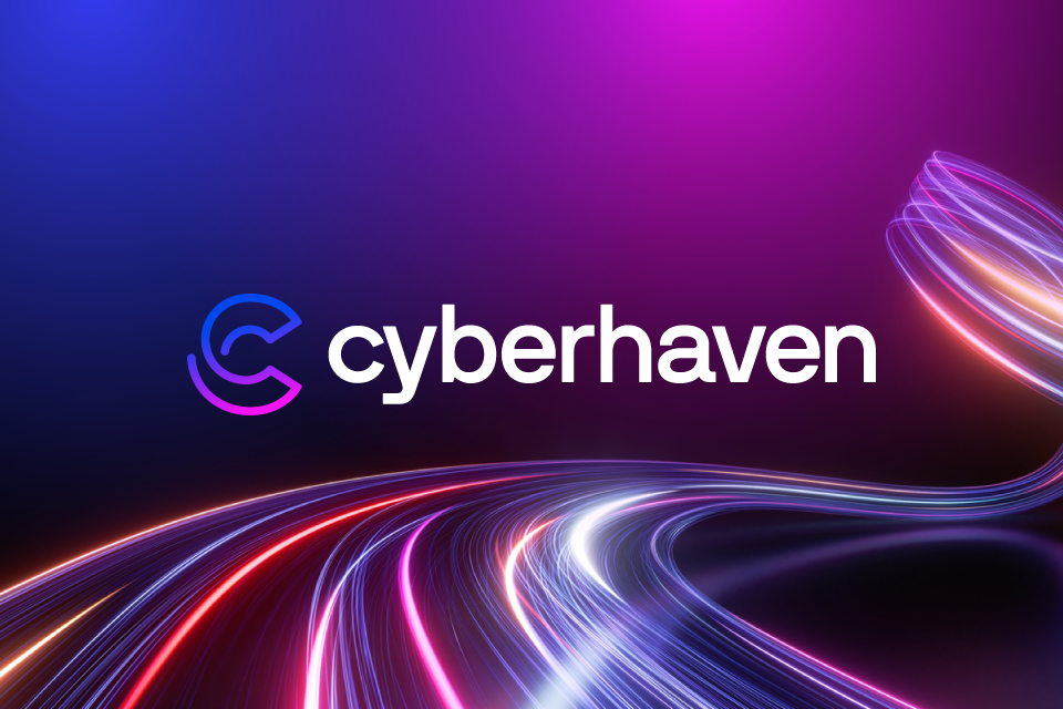 Cyberhaven Marketing Collateral