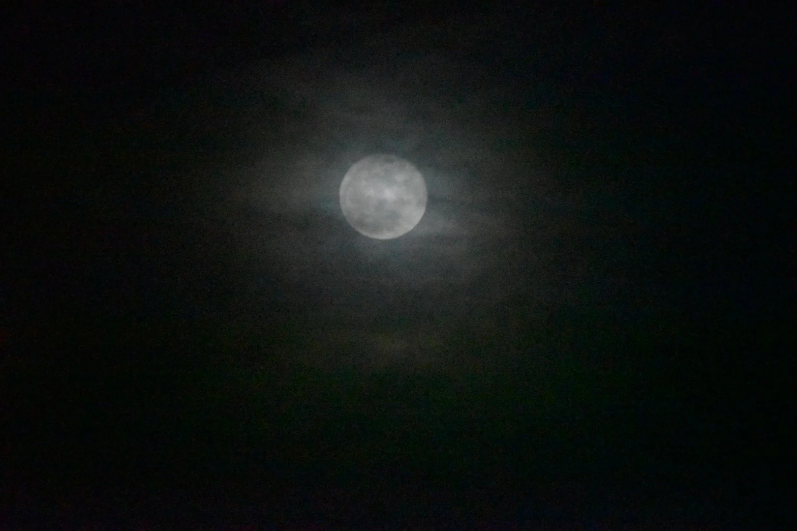 DSC_0202.jpeg