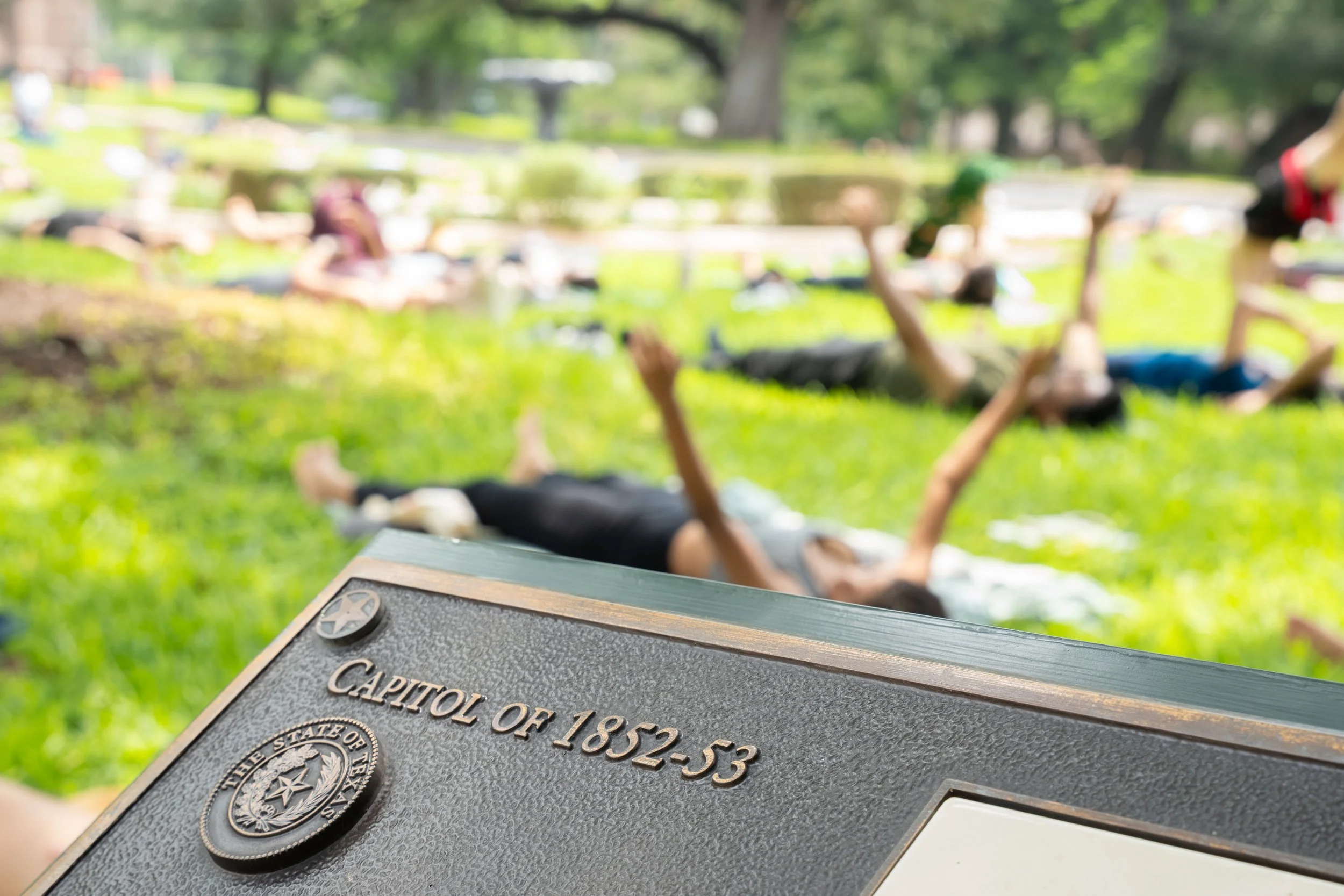International_Flow_Yoga_Day_2026-37.jpg