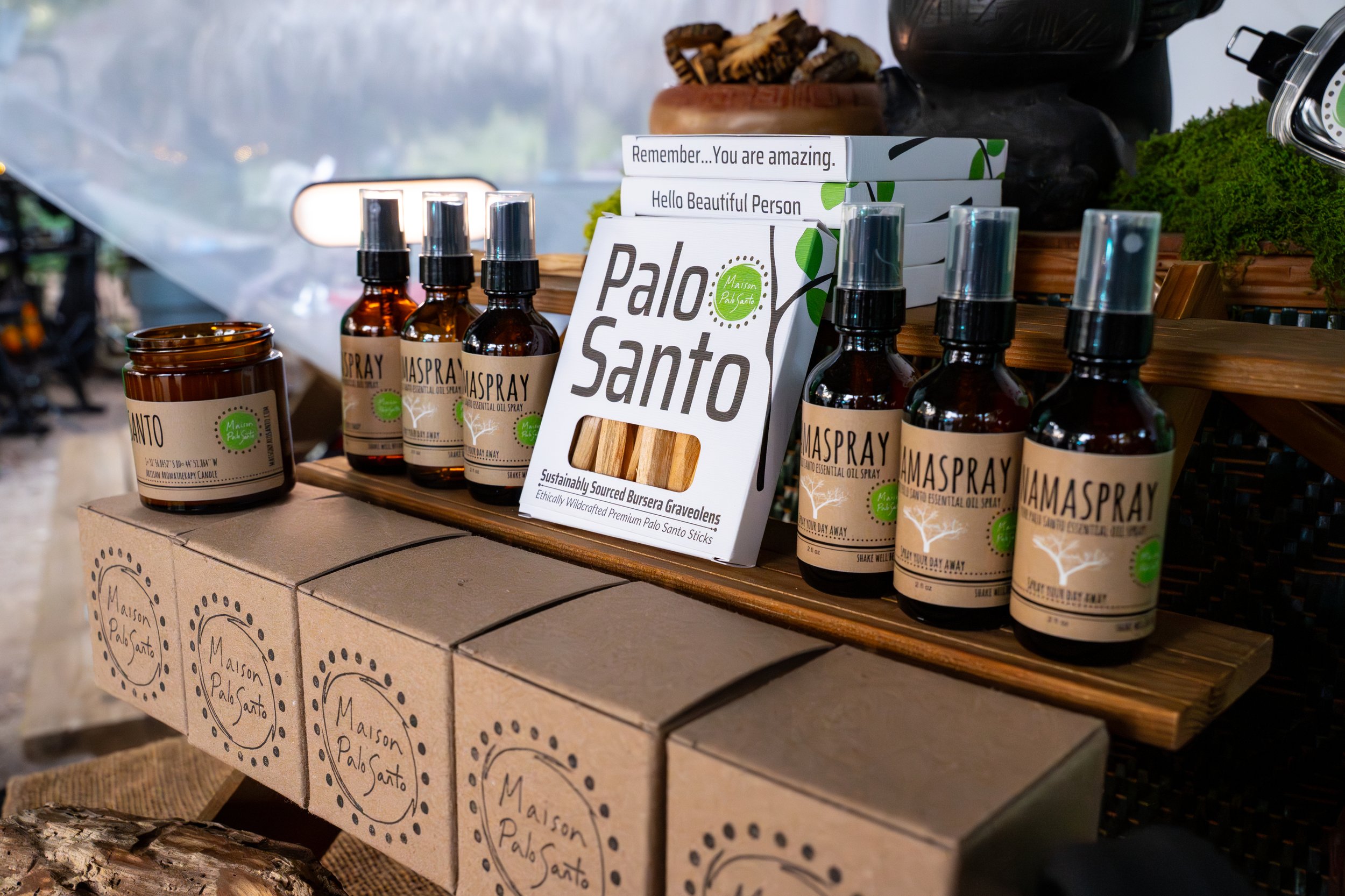 Maison @ Solar Punk 2025-67. (resized web)jpg.jpg