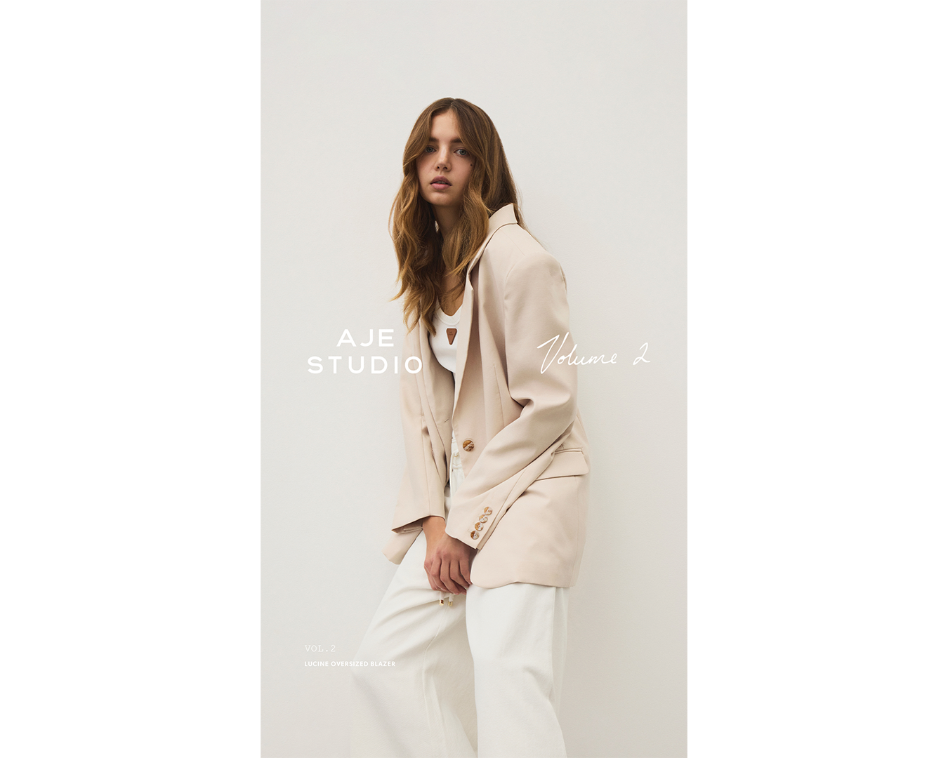 Paid Ad ~ Aje Studio