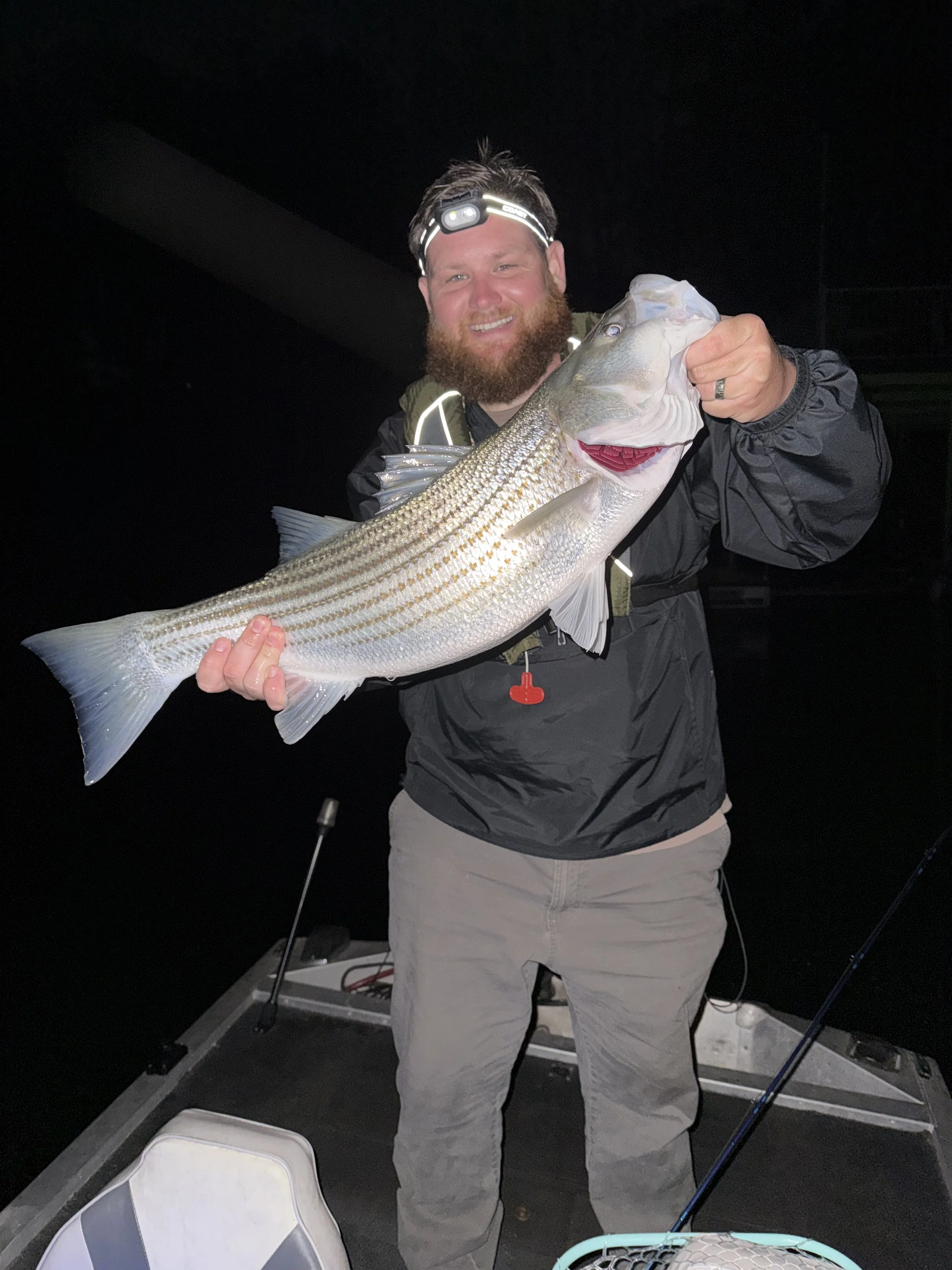 Best Time to Catch Stripers on Lake Lanier