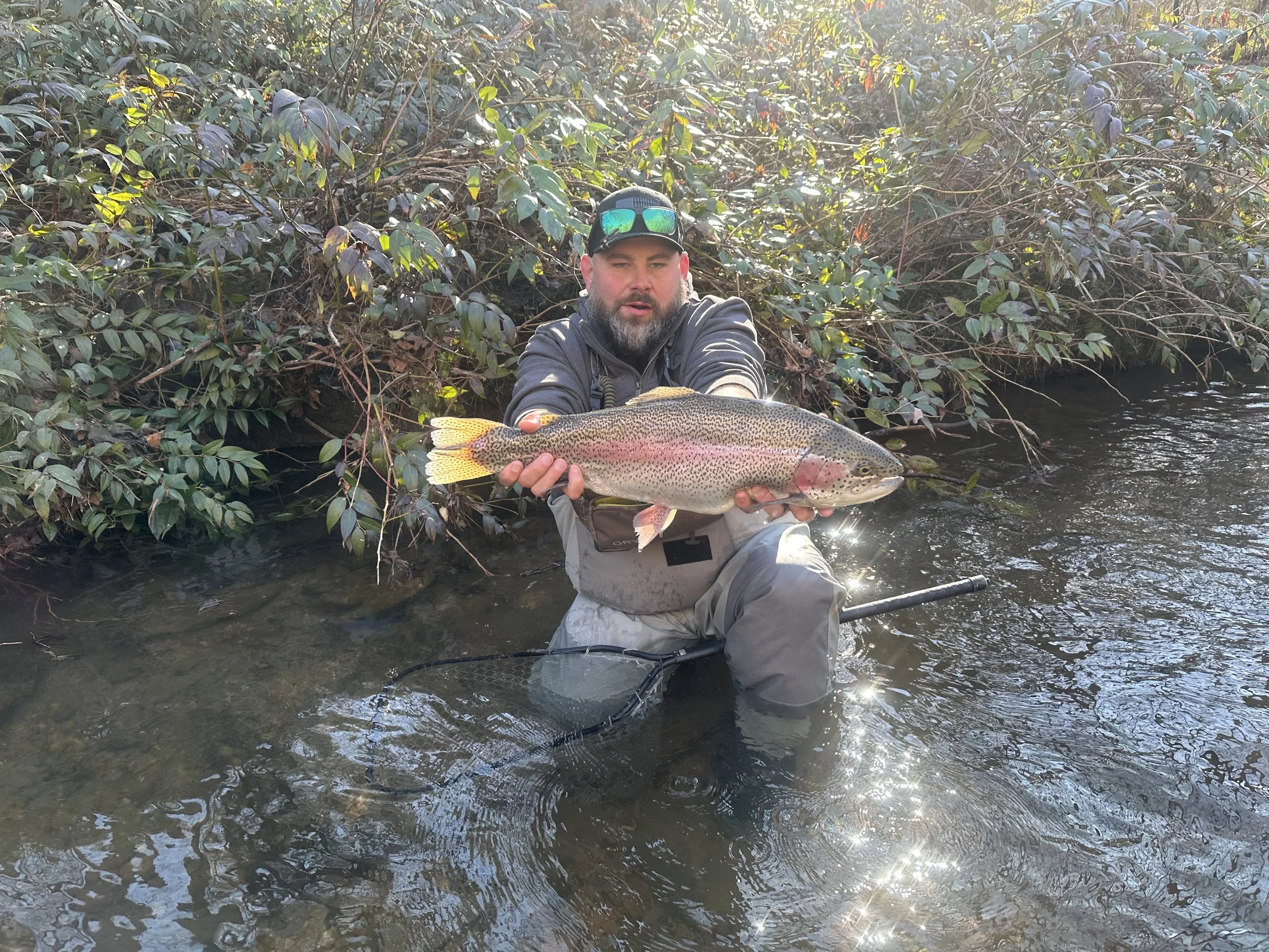 Fly Fishing the Soque River: North Georgia's Premier Trophy Trout Destination
