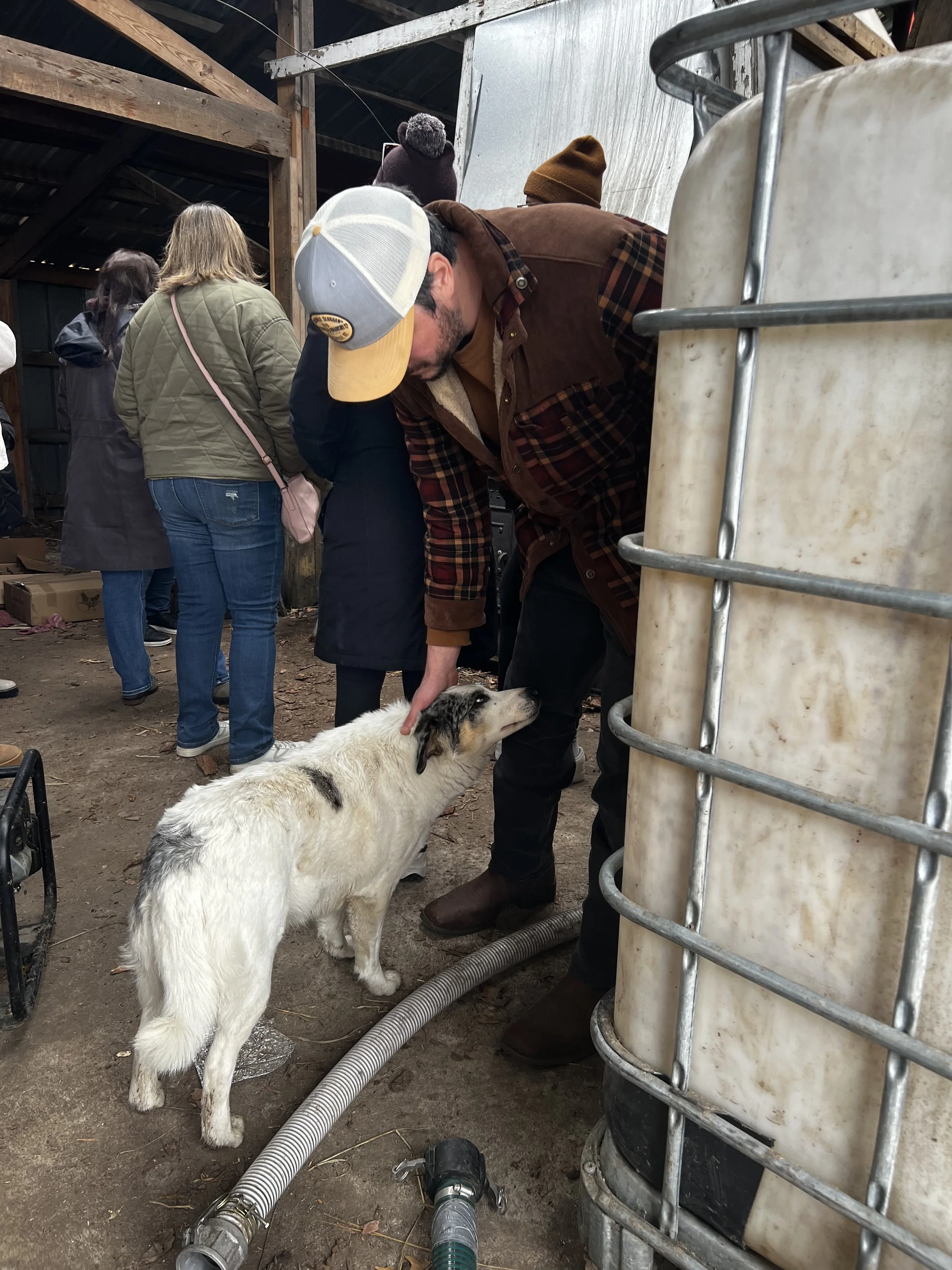 Photo Apr 04 2026, 11 41 58 AM.jpg