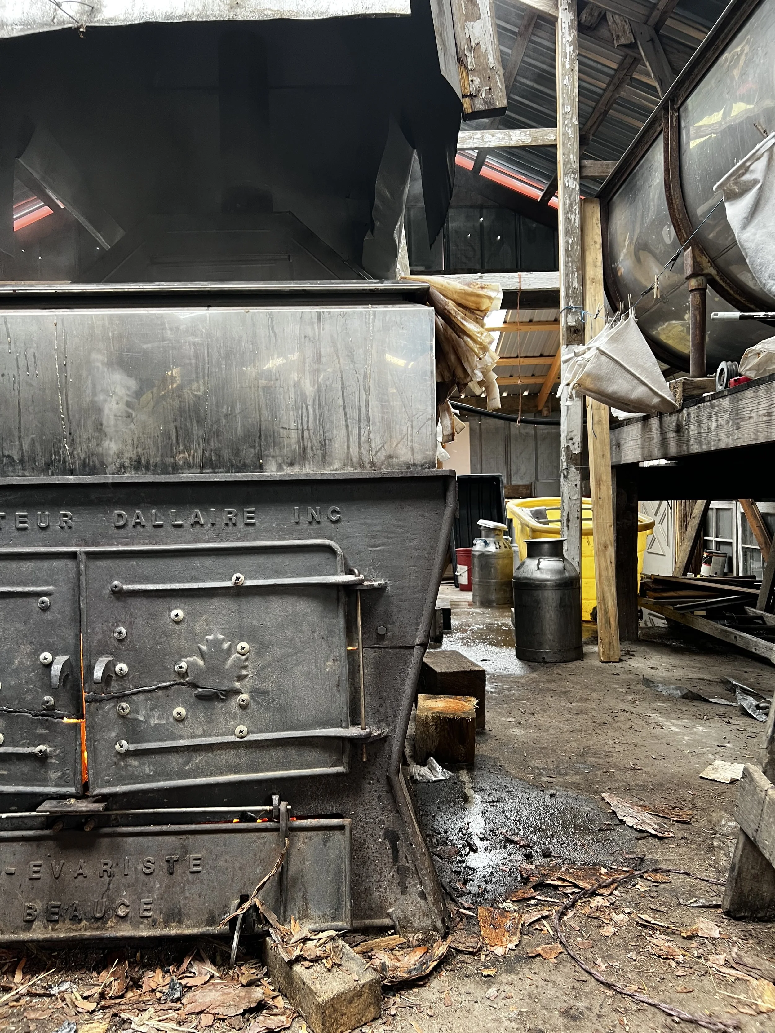 Photo Apr 04 2026, 11 38 24 AM.jpg