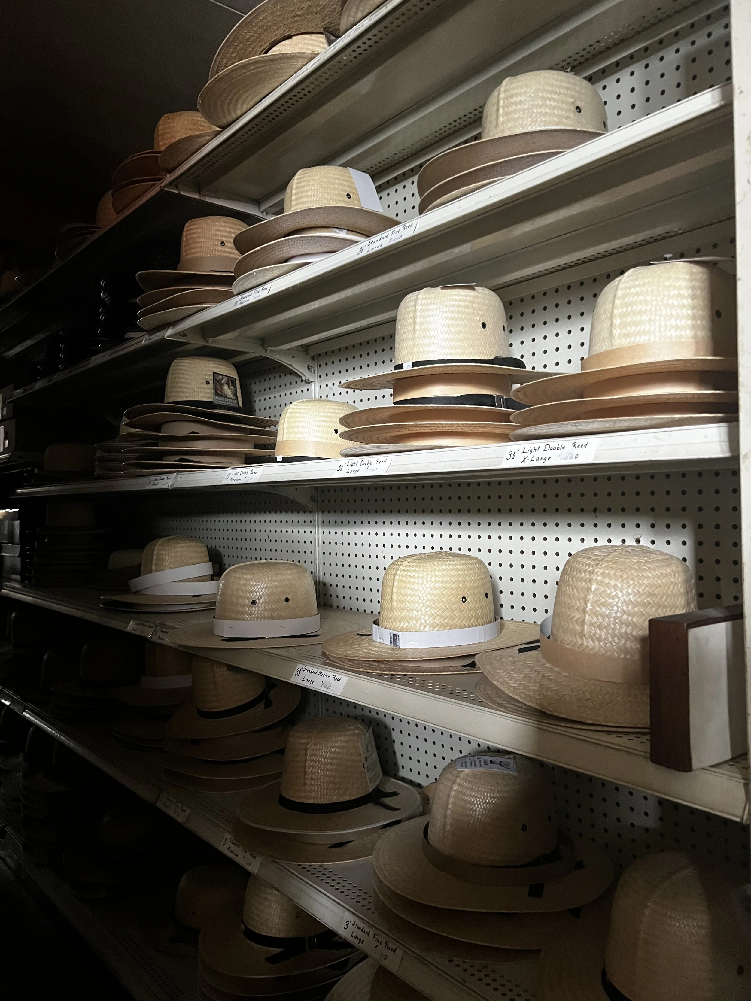 Photo Apr 04 2026, 11 02 44 AM.jpg