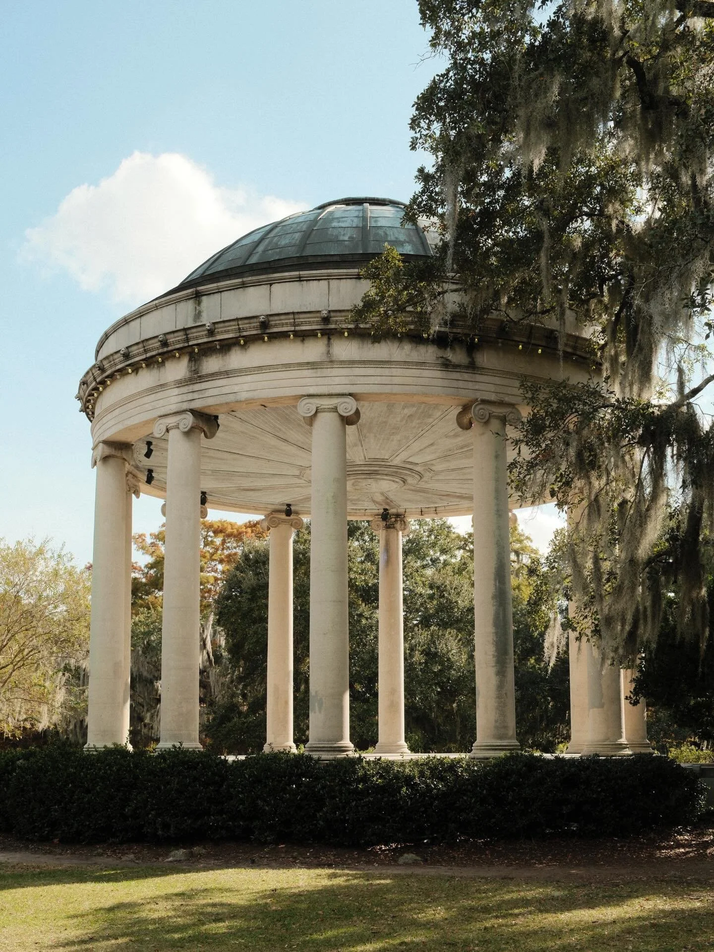 city park (feat. @cafedumonde) 

📸 fujifilm x100vi
🎞️ kodak gold 200