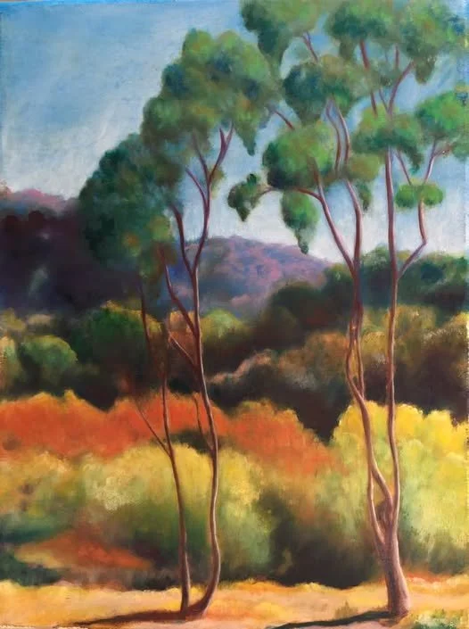 Palos Verdes Eucalyptus