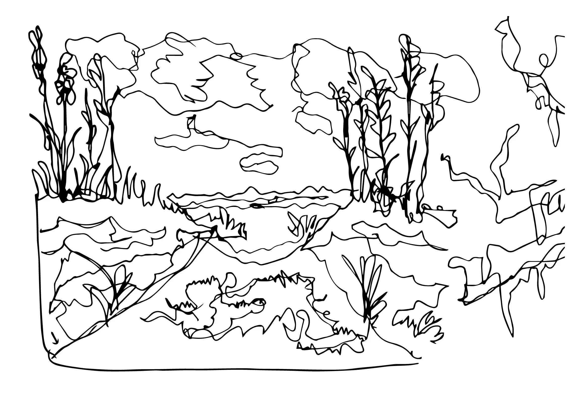 ScribblePrint3.jpg