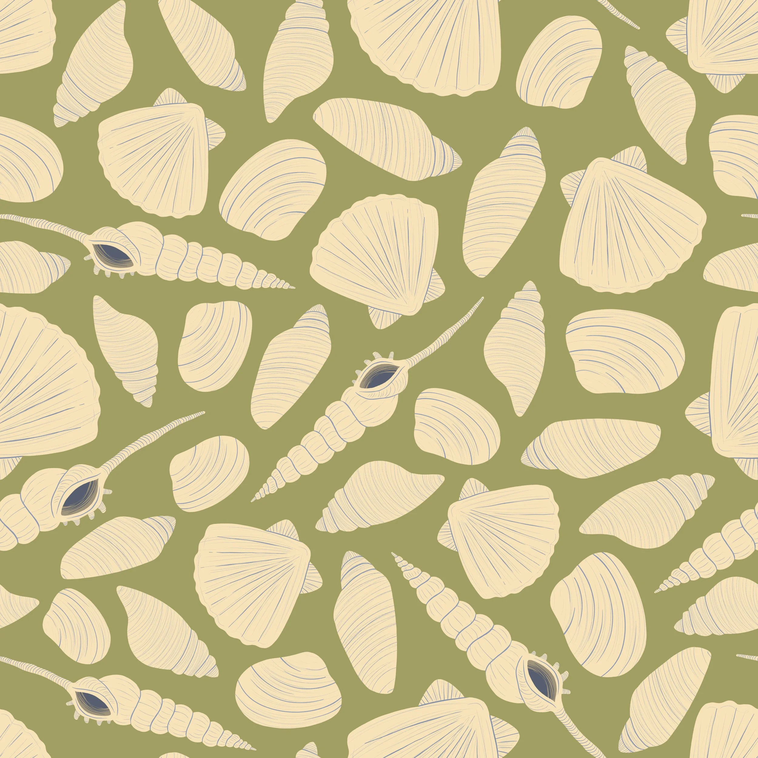 Seashell Snuggles