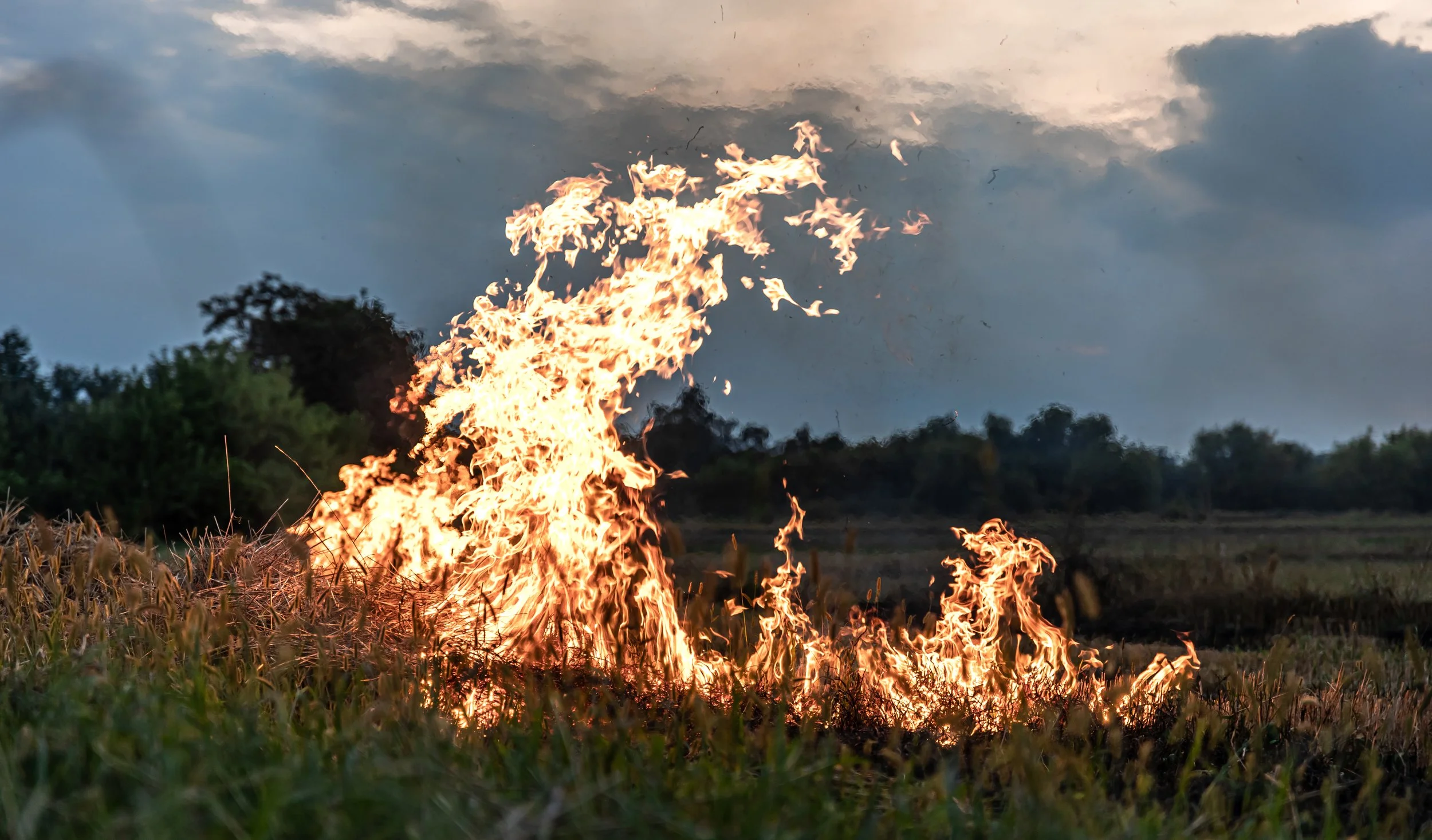 fire burning grass on steppe with dark clouds in the background