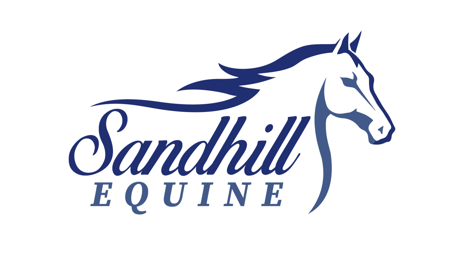 Sandhill Equine